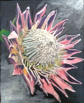 "Protea 4"