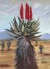 "Aloe Vera"