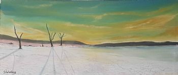 "Etosha Sunrise"
