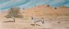 "Namib Gemsbok"