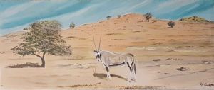 "Namib Gemsbok"