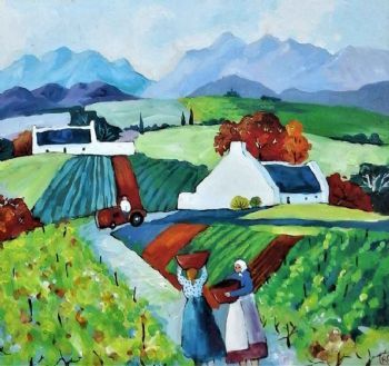 "Cape Vineyard"