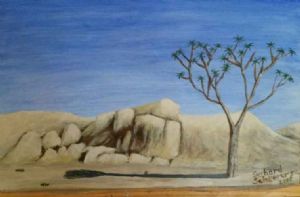 "Richtersveld 1"