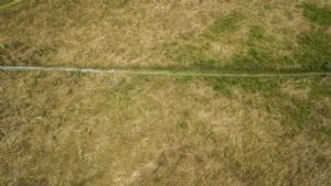 "Well-Trodden Path Across a Field"