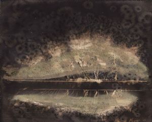 "Forest Reflections 01"