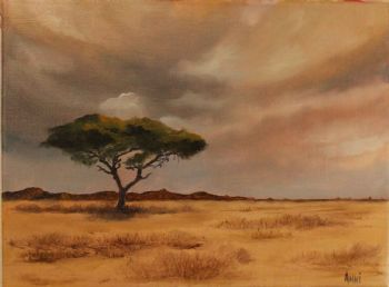 "Acacia Tree 02"