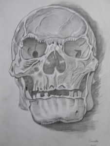 "Skull"