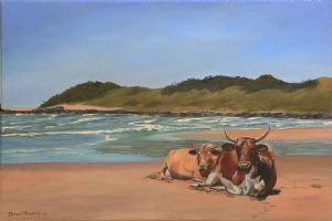 "Cows Life in the Transkei"