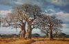 "Tarangire Dreaming"