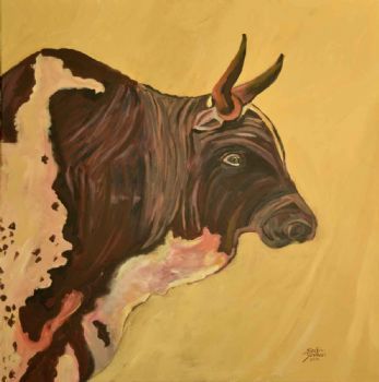 "Nguni Bull"