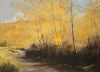 "Autumn - Klipplaats - Hogsback"