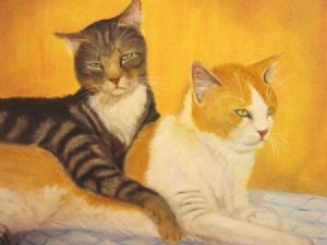 "lazy afternoon"