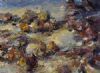 "Rock pool"