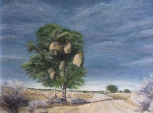 "Daai Boom (That Tree)"