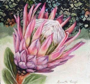"One King Protea, Lace Detail"