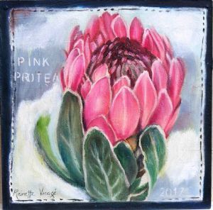 "Pink Protea Vii"