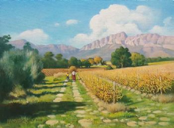 "Wellington Vineyards "