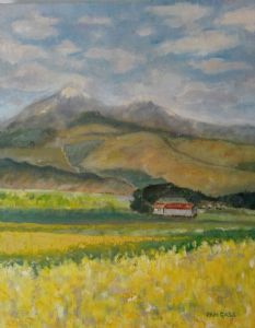 "Canola Field with Farm House"