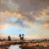 "Wetland 1 "