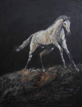 "Light in the Night"