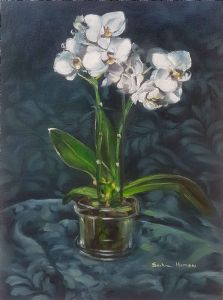 "White Orchid"