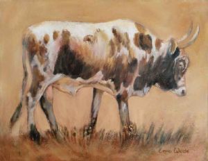 "Nguni 56"