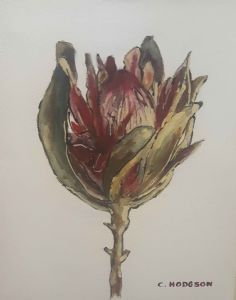 "Protea"