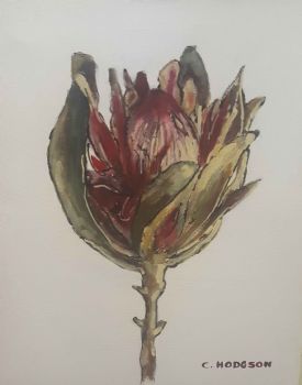 "Protea"