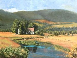 "Farm Stream Reflections"