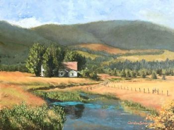 "Farm Stream Reflections"