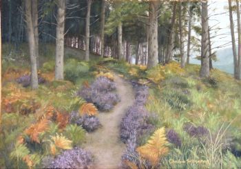"Forest Path"