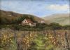 "Autumn Vineyard, Calitzdorp"