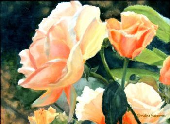 "Light on Orange Roses"