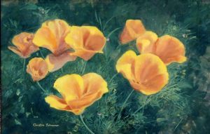 "Californian Poppies"