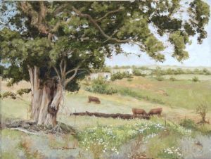 "Cows in Tsitsikamma Meadow"