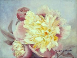 "Single Creamy Pink Peony"