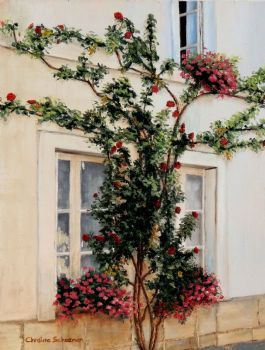"Espalier Rose"