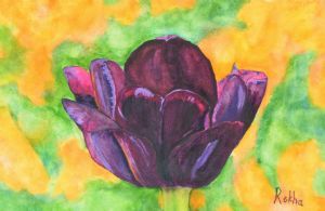 "Purple Tulip"