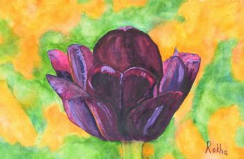 "Purple Tulip"