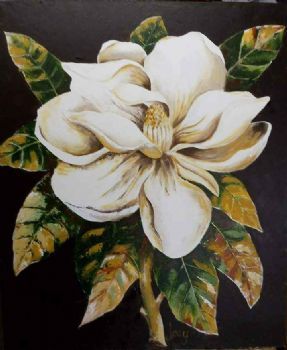 "Magnolia"