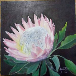 "Western Cape Fine Bush"