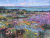 "Burst of Colour"