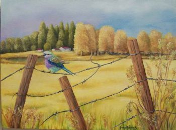 "Bird on the Wire - Midlands"