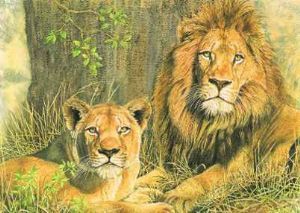 "Lion and mate"