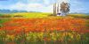 "Poppy Fields"