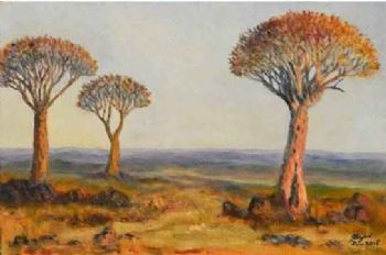 "Quiver Trees Namibia"