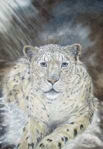 "Snow Leopard Original Oil SOLD"