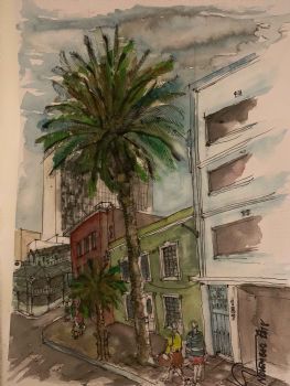 "Palm Tree Mosque, Cape Town"