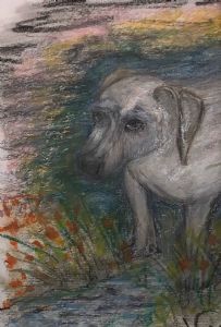 "Puppy"