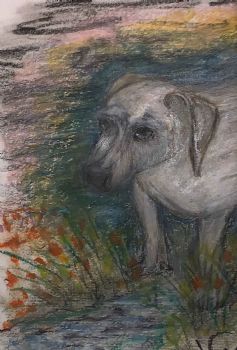 "Puppy"